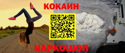 крисы Кулебаки