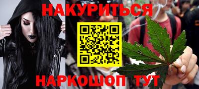 крисы Кулебаки
