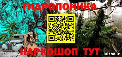 крисы Кулебаки