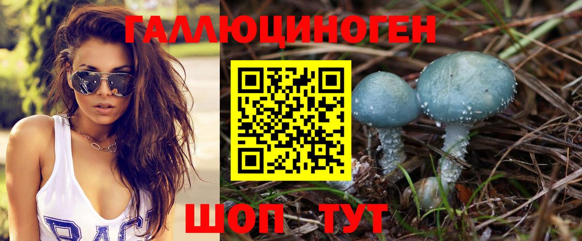 Псилоцибиновые грибы мицелий  Вход с VPN  Выкса 
