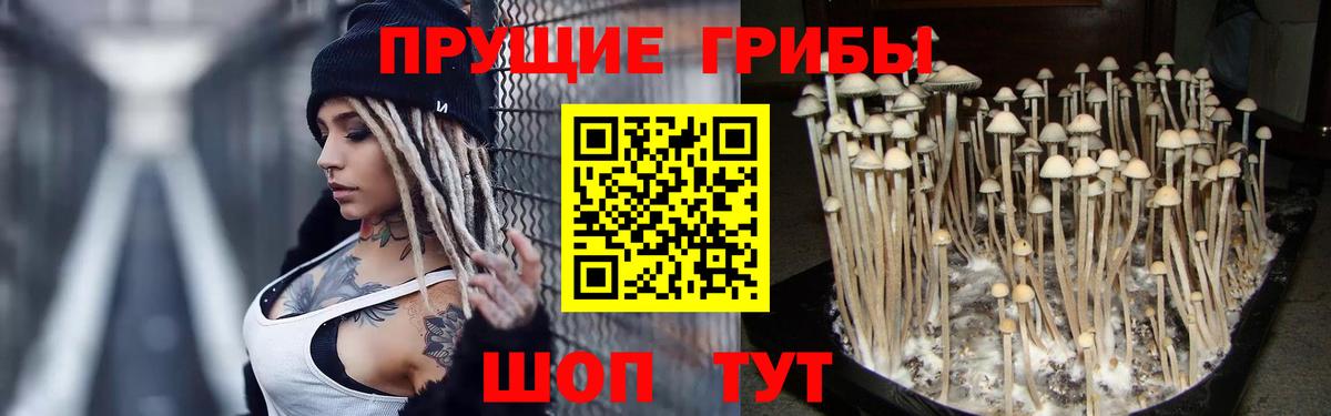 Псилоцибиновые грибы ЛСД Выкса
