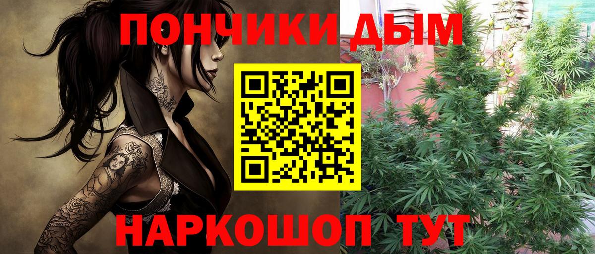 Каннабис семена  Канабис сатива  Выкса  Конопля Amnesia  Вход с VPN  Бошки Шишки THC 21% 